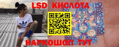 шишки Краснодар