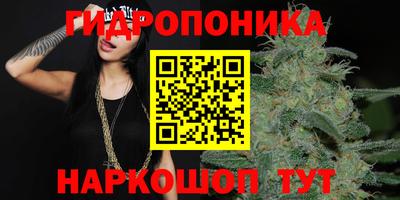 шишки Краснодар