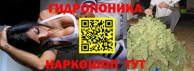 шишки Краснодар